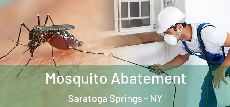  Mosquito Abatement Saratoga Springs - NY