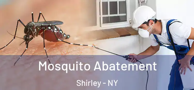  Mosquito Abatement Shirley - NY