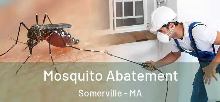 Mosquito Abatement Somerville - MA