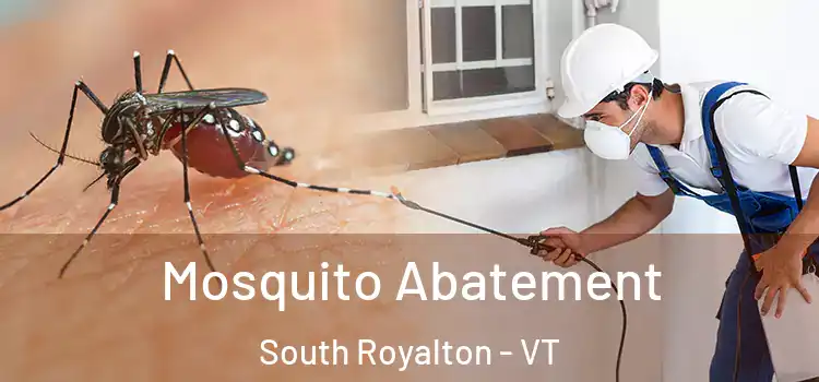 Mosquito Abatement South Royalton - VT