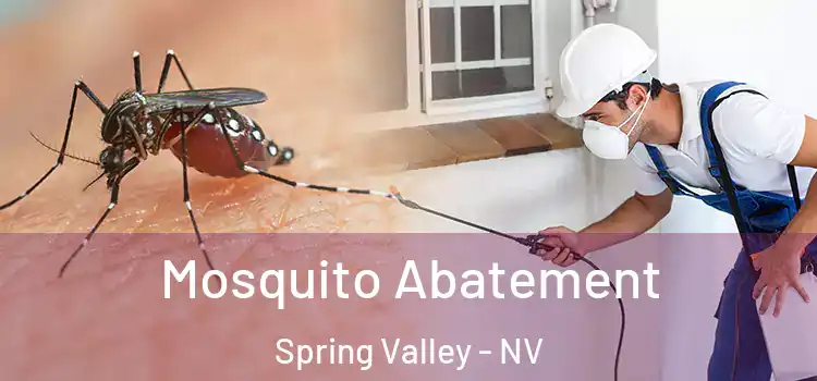  Mosquito Abatement Spring Valley - NV