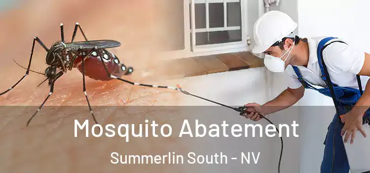  Mosquito Abatement Summerlin South - NV