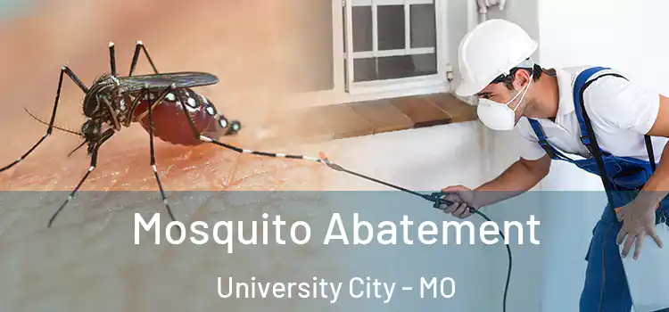  Mosquito Abatement University City - MO