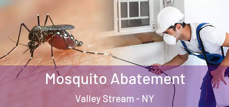  Mosquito Abatement Valley Stream - NY
