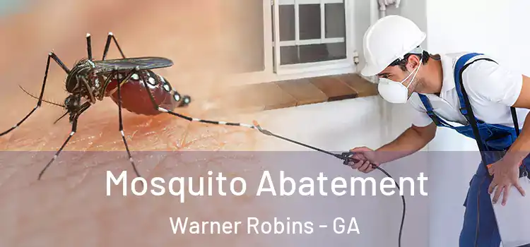 Mosquito Abatement Warner Robins - GA