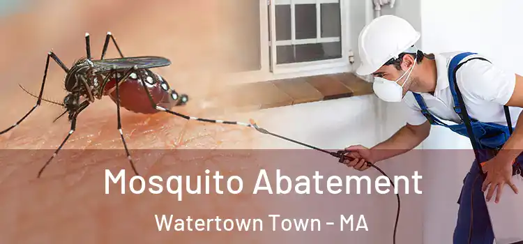 Mosquito Abatement Watertown Town - MA