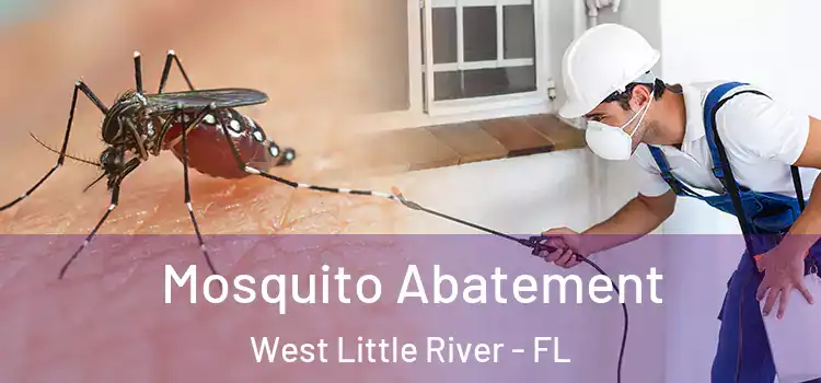  Mosquito Abatement West Little River - FL