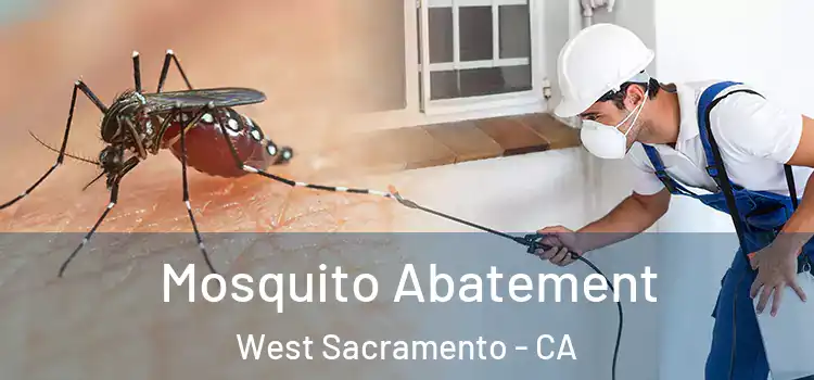  Mosquito Abatement West Sacramento - CA