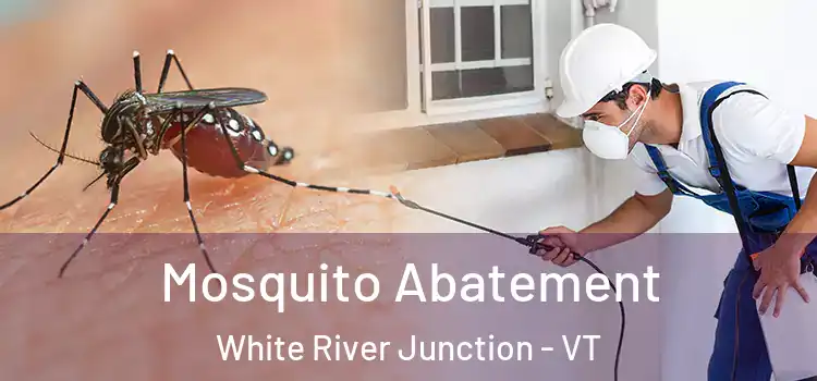  Mosquito Abatement White River Junction - VT