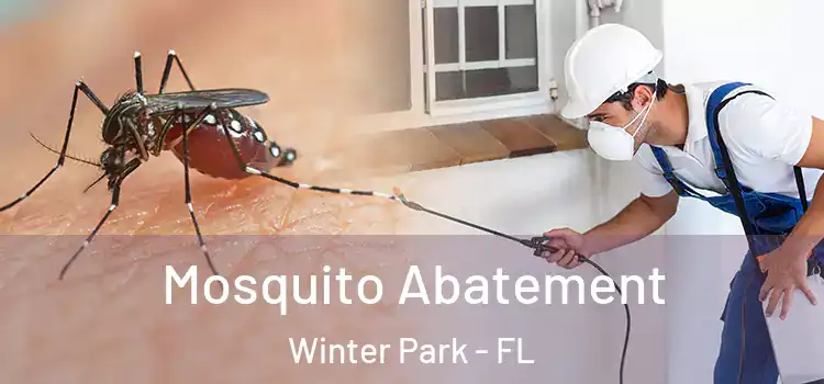 Mosquito Abatement Winter Park - FL