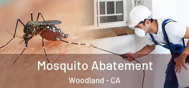  Mosquito Abatement Woodland - CA