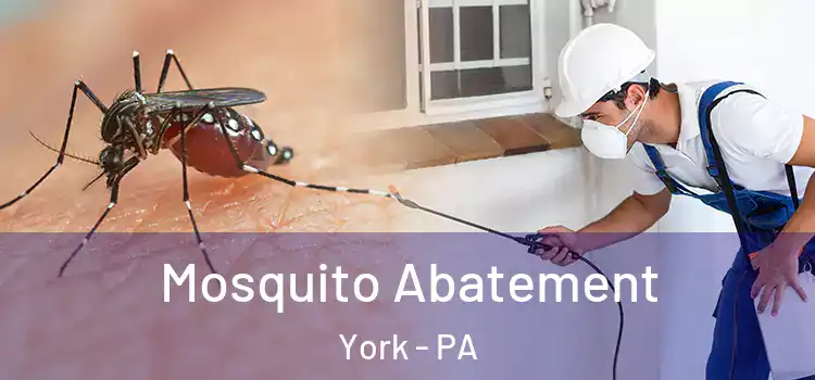  Mosquito Abatement York - PA