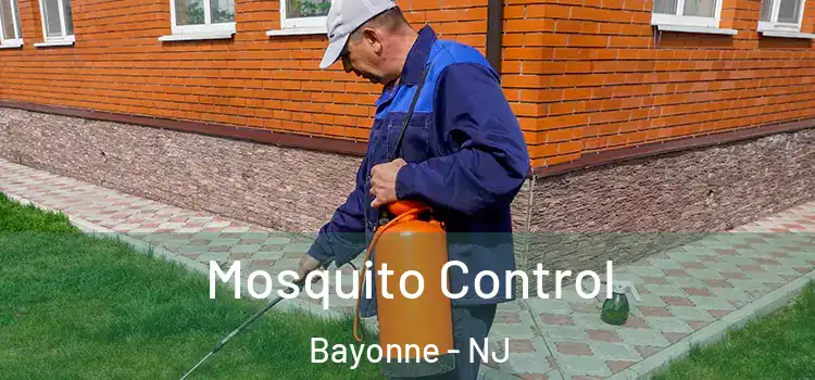  Mosquito Control Bayonne - NJ