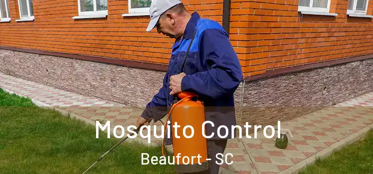Mosquito Control Beaufort - SC
