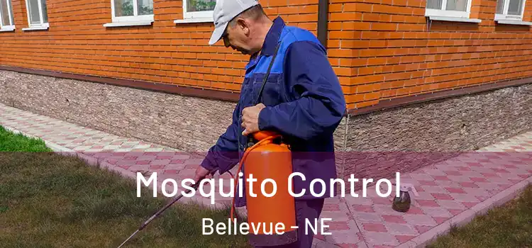  Mosquito Control Bellevue - NE