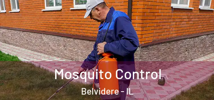 Mosquito Control Belvidere - IL