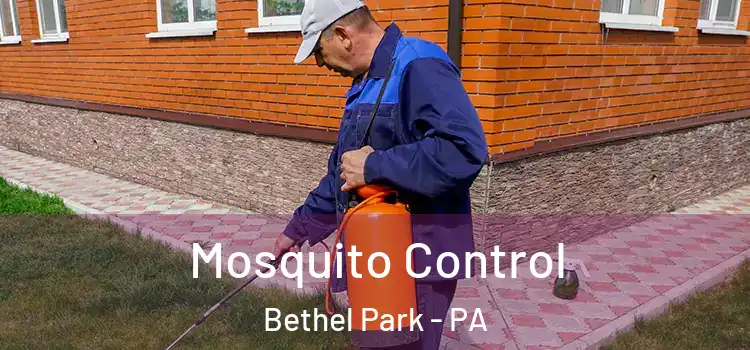  Mosquito Control Bethel Park - PA