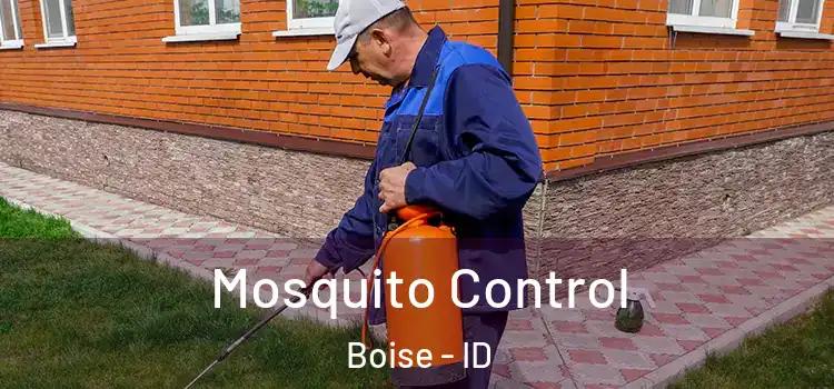 Mosquito Control Boise - ID