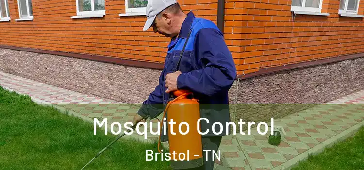  Mosquito Control Bristol - TN