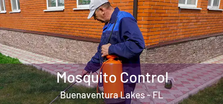  Mosquito Control Buenaventura Lakes - FL