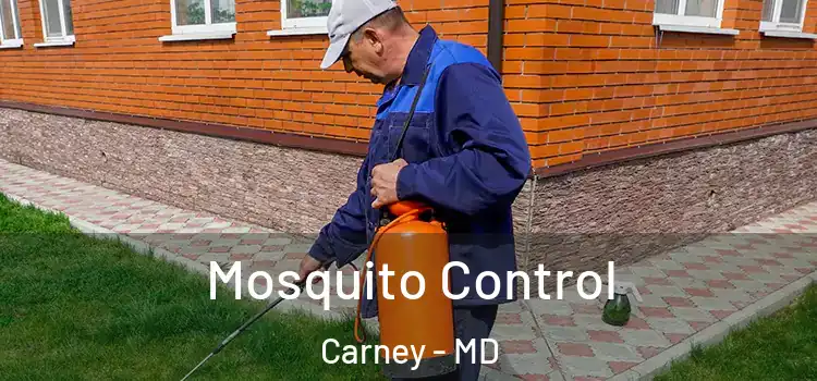 Mosquito Control Carney - MD