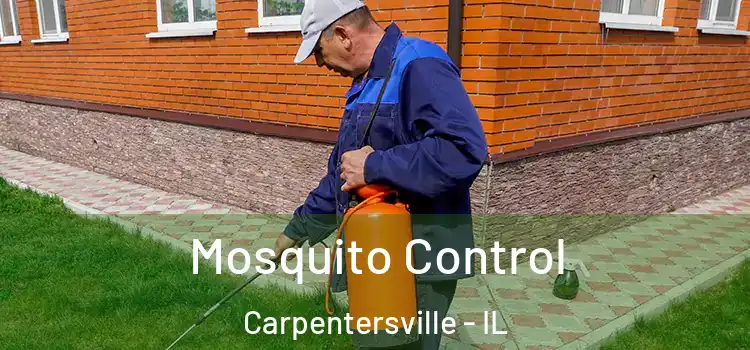  Mosquito Control Carpentersville - IL