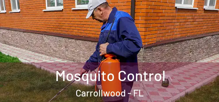  Mosquito Control Carrollwood - FL