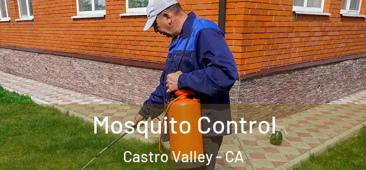  Mosquito Control Castro Valley - CA