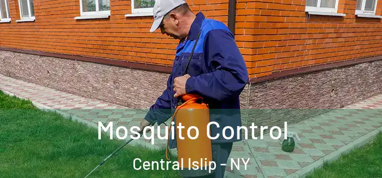  Mosquito Control Central Islip - NY