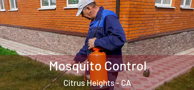 Mosquito Control Citrus Heights - CA