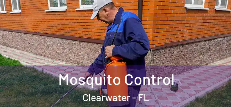  Mosquito Control Clearwater - FL