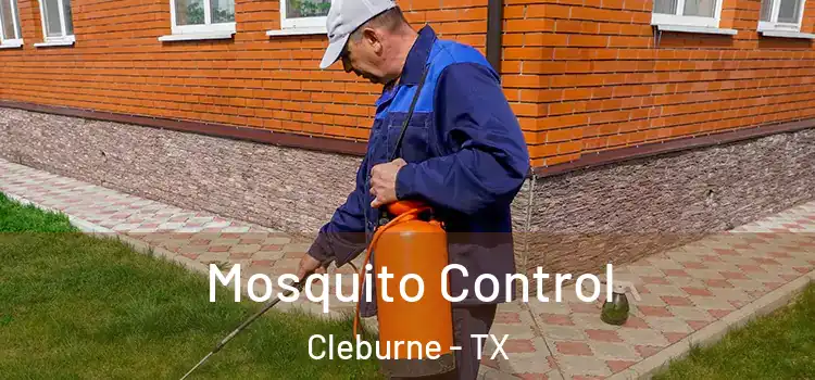  Mosquito Control Cleburne - TX
