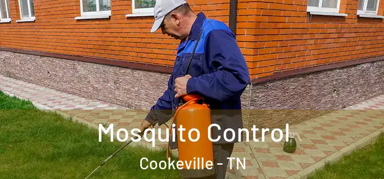  Mosquito Control Cookeville - TN