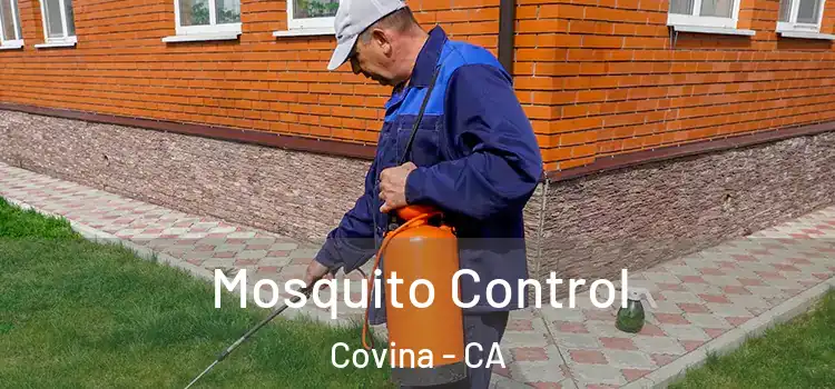  Mosquito Control Covina - CA