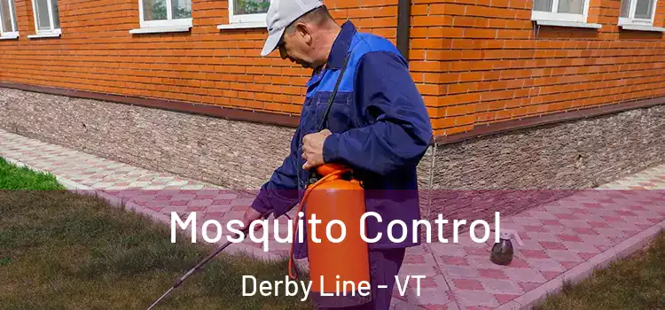  Mosquito Control Derby Line - VT