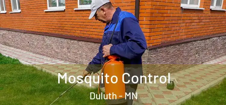 Mosquito Control Duluth - MN