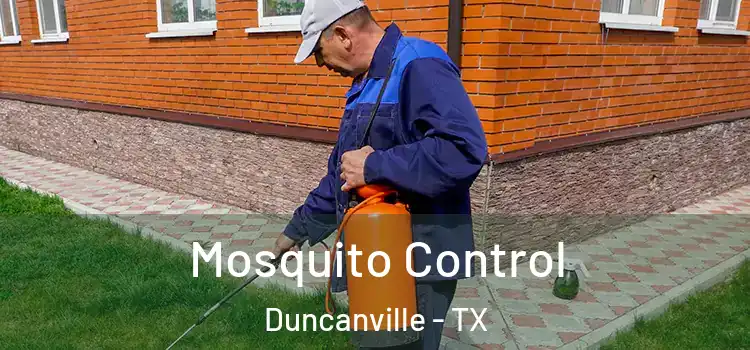 Mosquito Control Duncanville - TX
