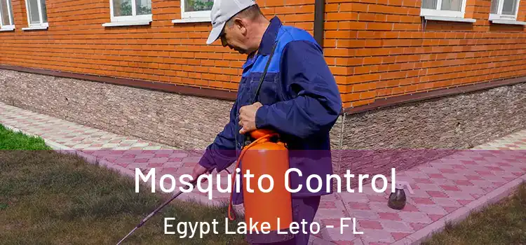  Mosquito Control Egypt Lake Leto - FL