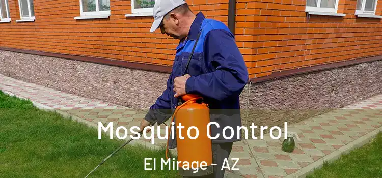  Mosquito Control El Mirage - AZ