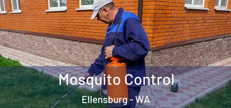  Mosquito Control Ellensburg - WA