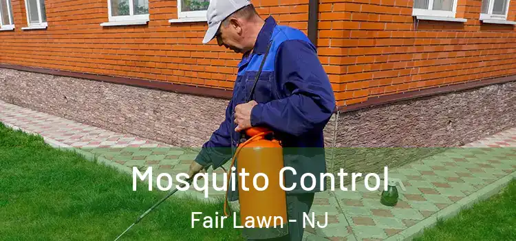  Mosquito Control Fair Lawn - NJ