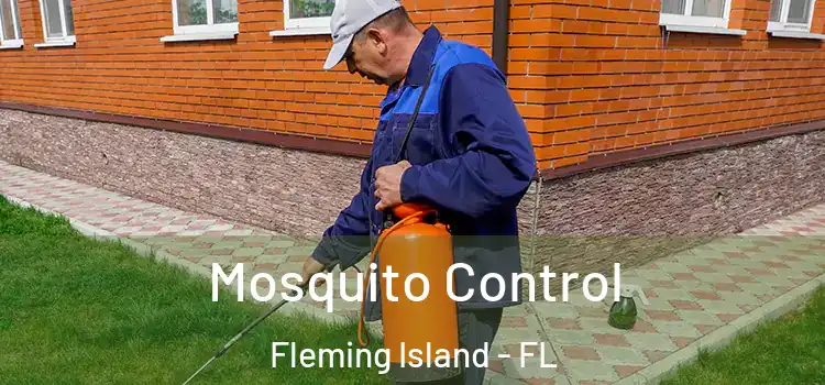  Mosquito Control Fleming Island - FL