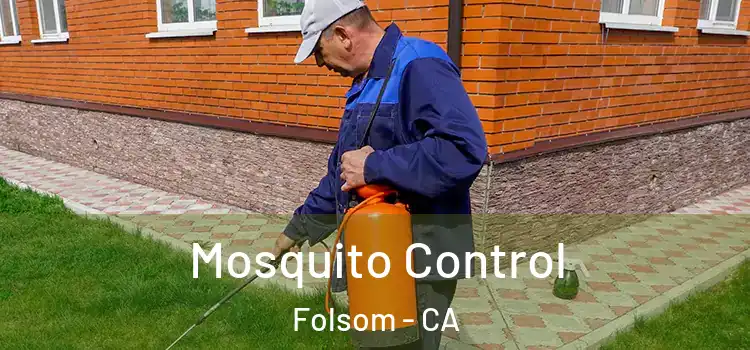 Mosquito Control Folsom - CA