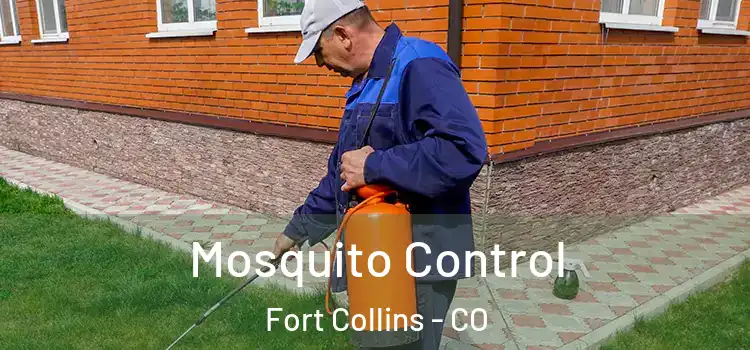 Mosquito Control Fort Collins - CO