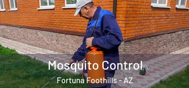  Mosquito Control Fortuna Foothills - AZ