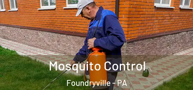  Mosquito Control Foundryville - PA