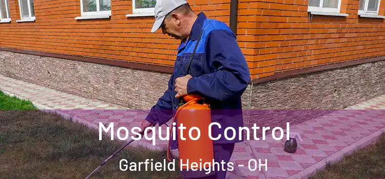 Mosquito Control Garfield Heights - OH