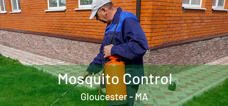  Mosquito Control Gloucester - MA