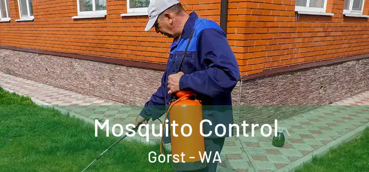 Mosquito Control Gorst - WA