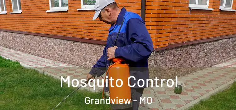  Mosquito Control Grandview - MO